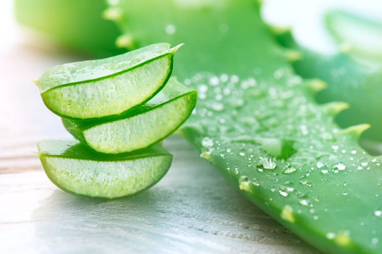 Homemade moisturizer with aloe vera for oily and acne-prone skin