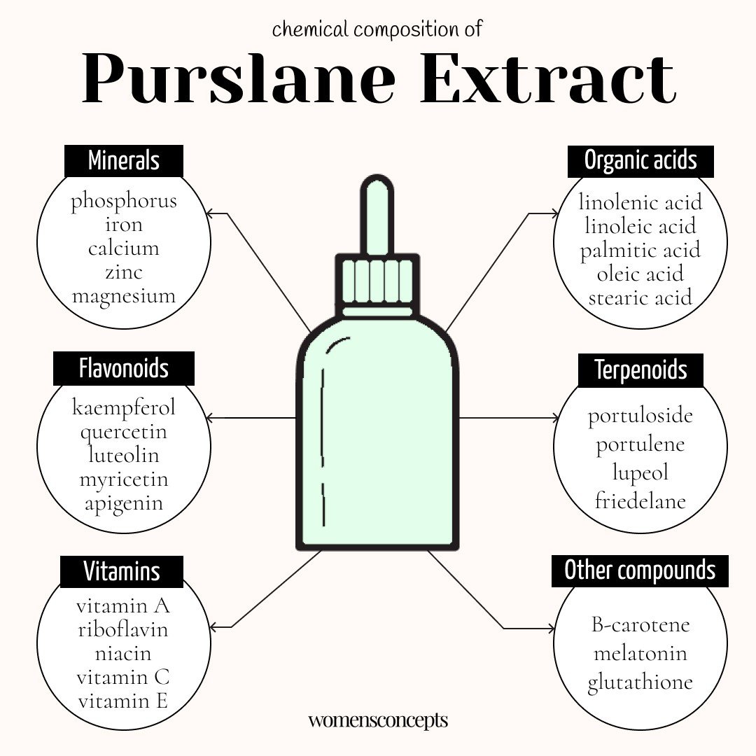 Purslane Extract Chemical Composition
