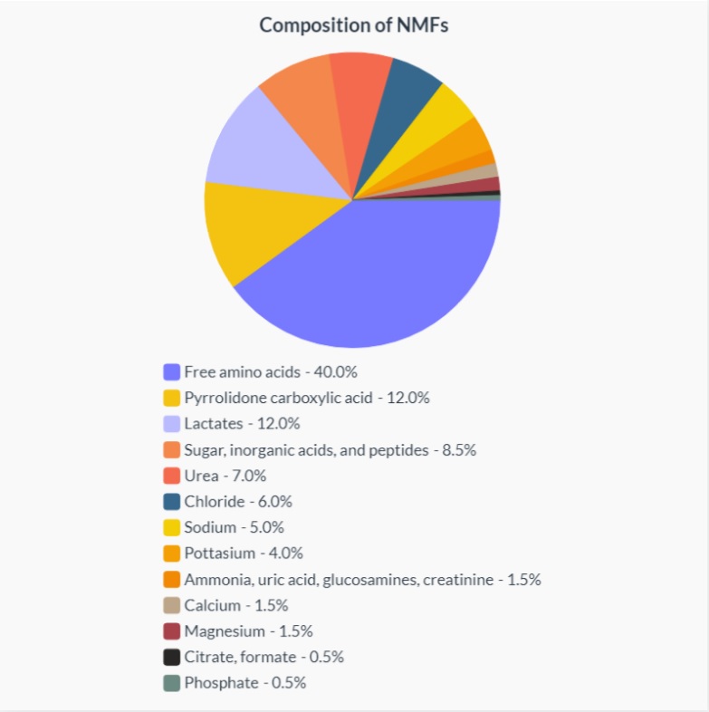 Natural Moisturizing Factor Composition