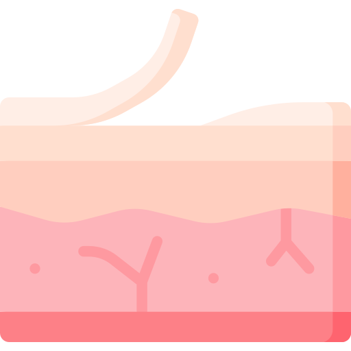 Illustration showing a close-up of the skin's layers, depicting the restoration of the skin barrier.