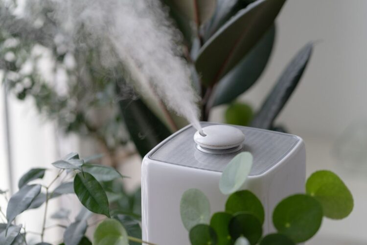 Can a Humidifier Help Prevent Winter Skin Problems